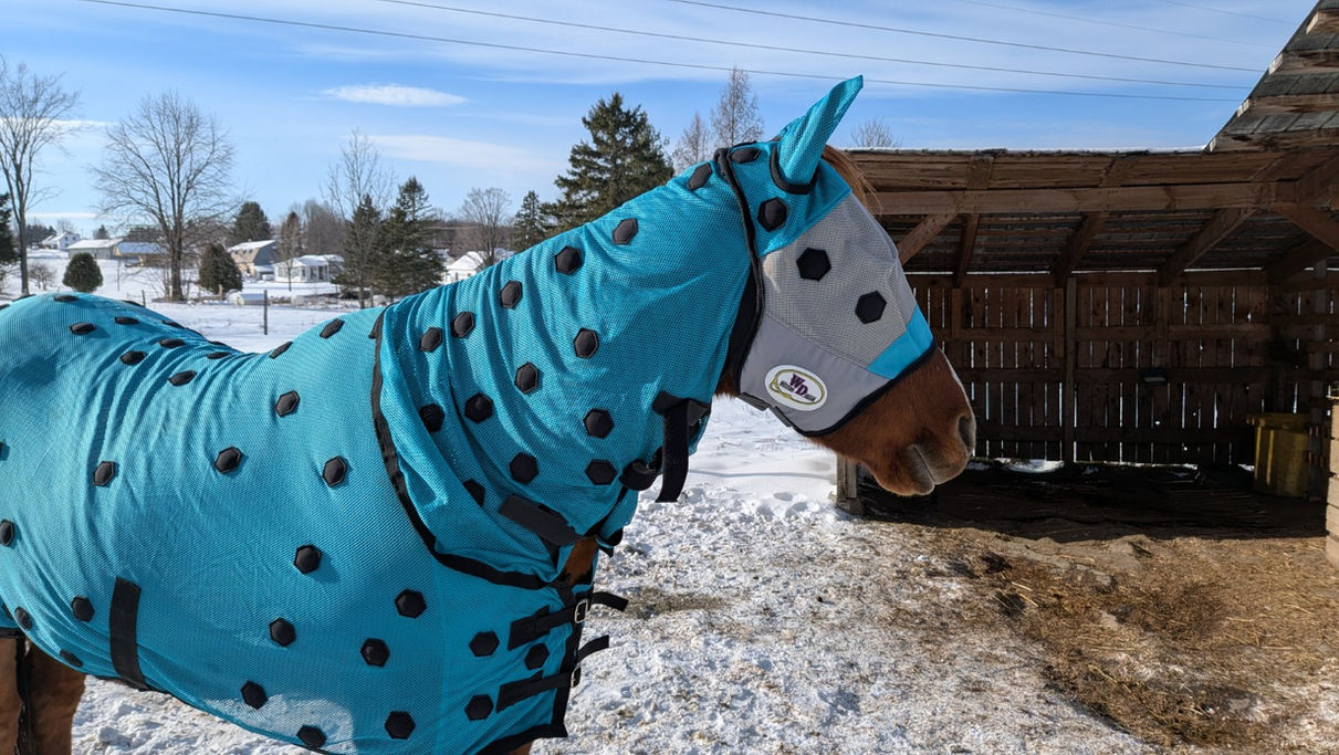 Masque magnétique pour chevaux avec technologie FIR, conçu pour favoriser la relaxation, la circulation locale et le confort