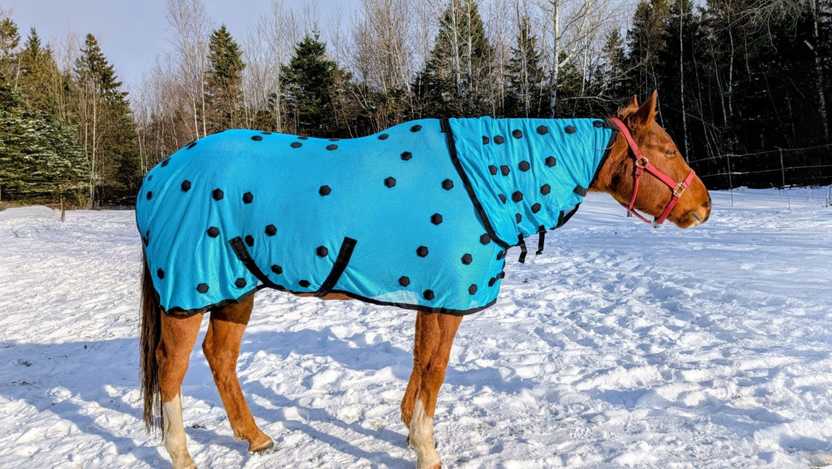 Couverture et cou magnétiques pour chevaux avec technologie FIR, favorise circulation, détente musculaire, récupération