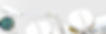 BG-Banner-top-1952x630px-grau_edited.jpg