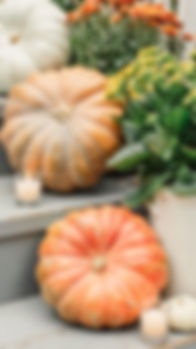 pumpkins 7.jpg