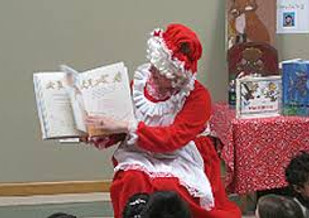 Paddy Lynn Custom Programs