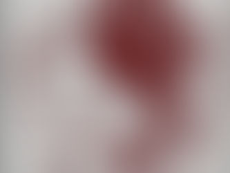 МОНОХРОМНАЯ ВЫШИВКА. СХЕМЫ