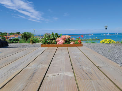 Positive Habitat :l’expertise au service de votre bois