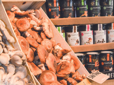 Champiland, La grande discrète des Landes !