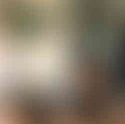 cheminée flamocéan