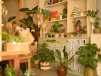 Laisser la magie des fleurs opérer, chez Cueillette