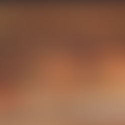 L’Escuyer Tranchant, une madeleine de Proust devenu réalité !