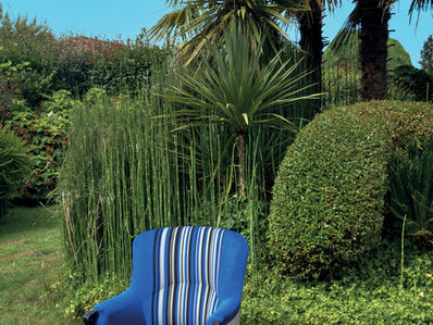 La belle aventure de Madame Fauteuil