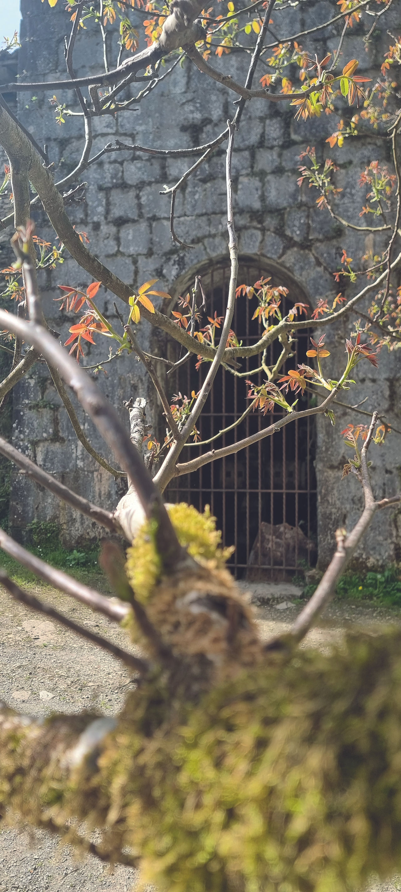 se balader en pleine nature au pays basque