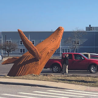 baleine exposée dans les rues