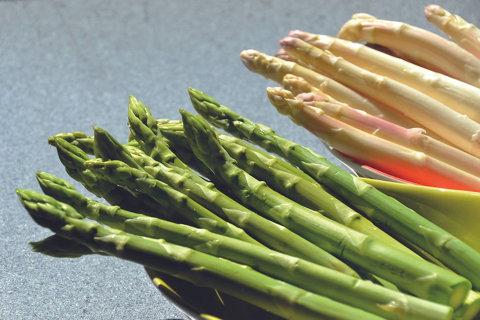 L’ASPERGE : une filière de précision