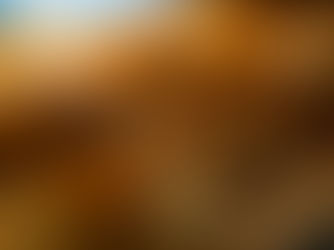 Redécouvrez le goût du pain