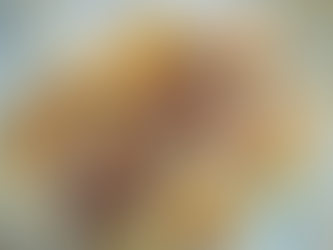 RECETTE DU CHEF : LE MAGRET FAÇON SATAYSTONNAIS