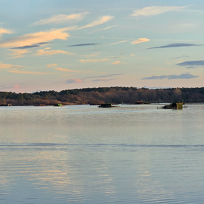 Slowly en balade : entre étangs et pinède, partons en balade…