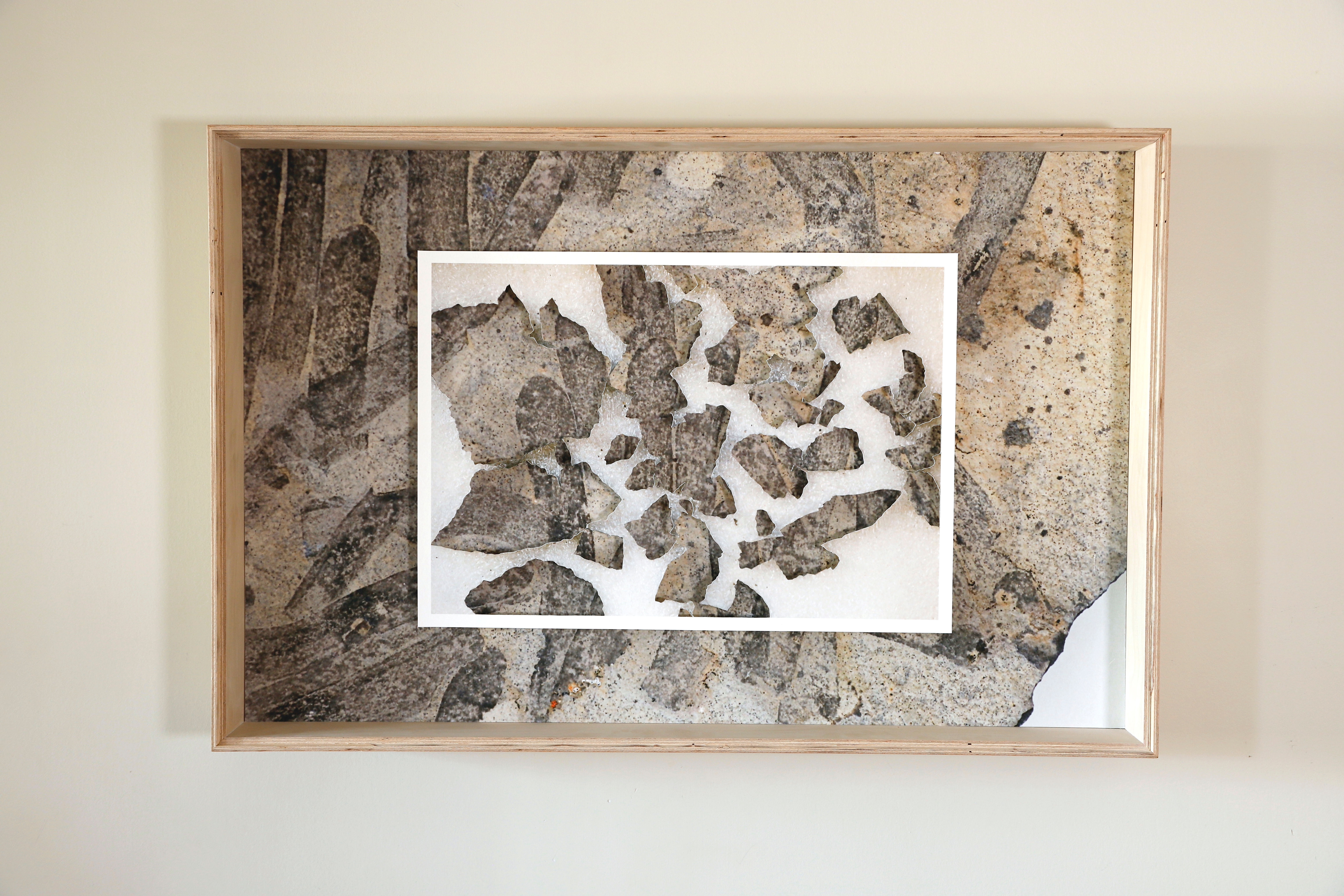 Porifera Screen, 2023