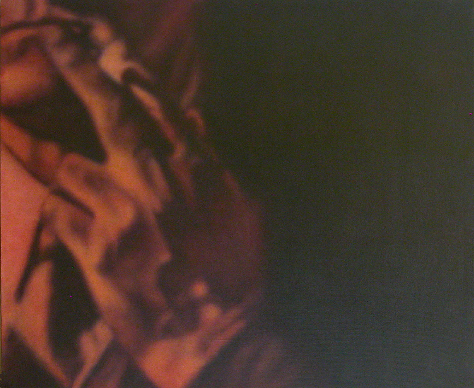 "Beckman's Hand", 1999