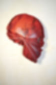 and then you die_on fire_2021_cochineal