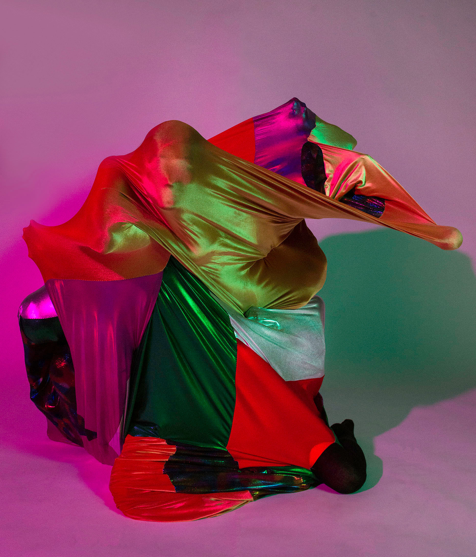 In the Skin of a Painting, Rose