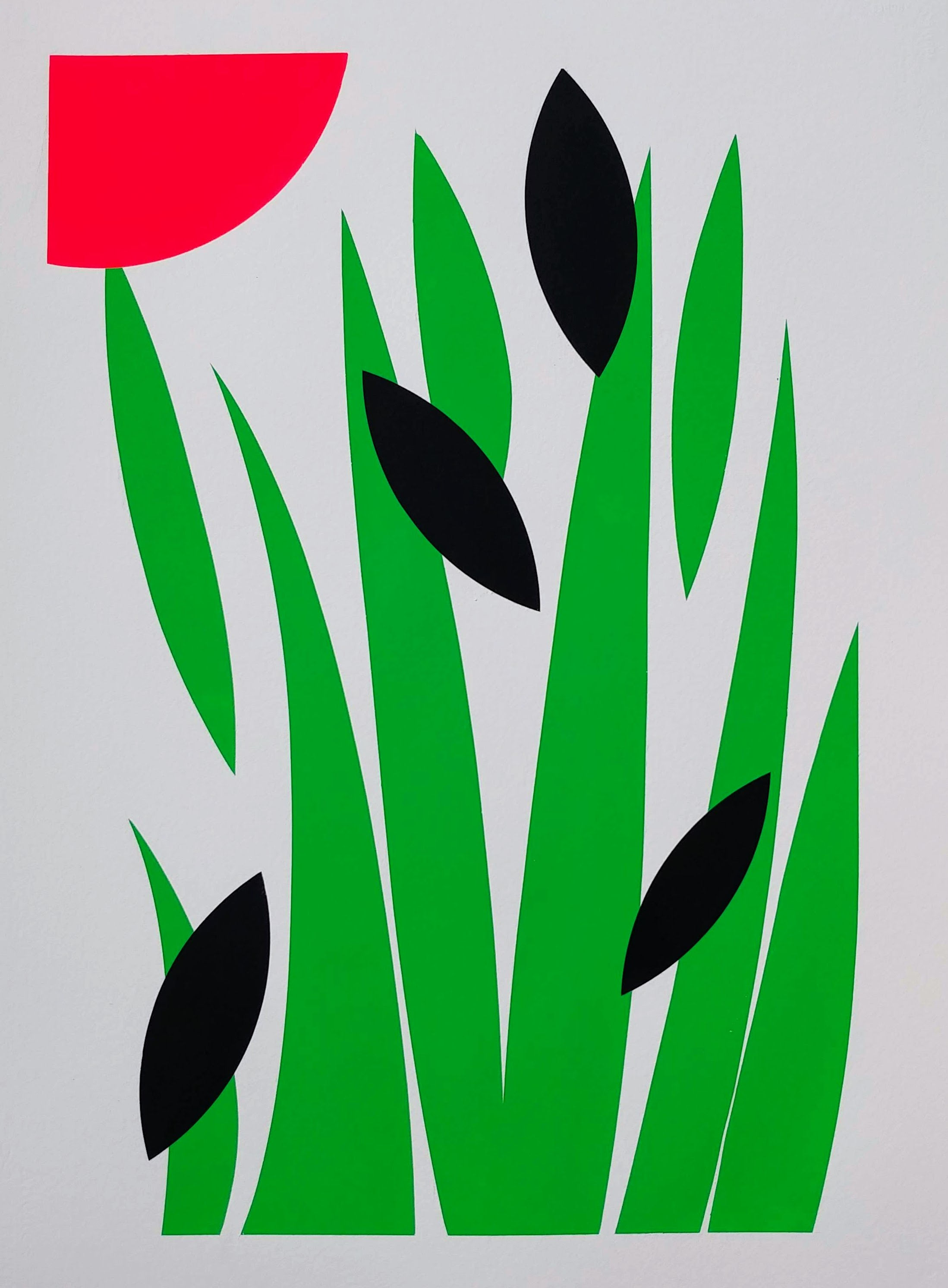 Green Garden with Sun, 2022