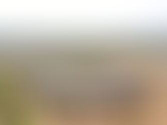 Des vidéos à télécharger sur tous les sujets d’actu