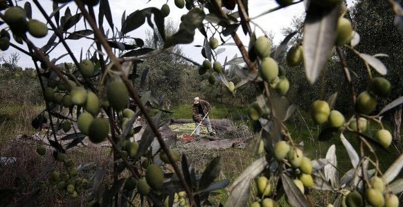 Actualités : téléchargez une vidéo sur l’agriculture