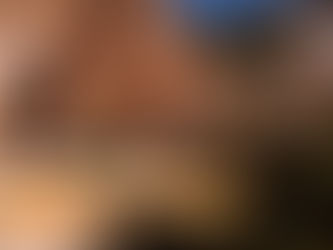 Découvrir le monde dans des vidéos à télécharger sur Buzz No Limit