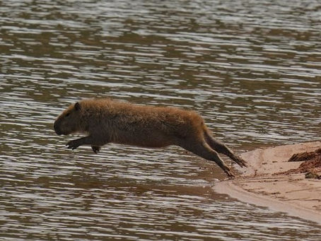 Buzz No Limit propose des actus sur la fête de Noël