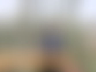 Buzz No Limit vous fait découvrir le monde