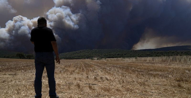 Buzz No Limit propose une actu sur les incendies en Grèce