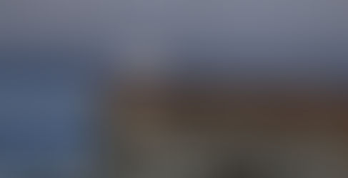 Les actualités en ligne sur Buzz No Limit