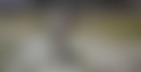 Évènement météorologique : suivez l’actu sur Buzz No Limit