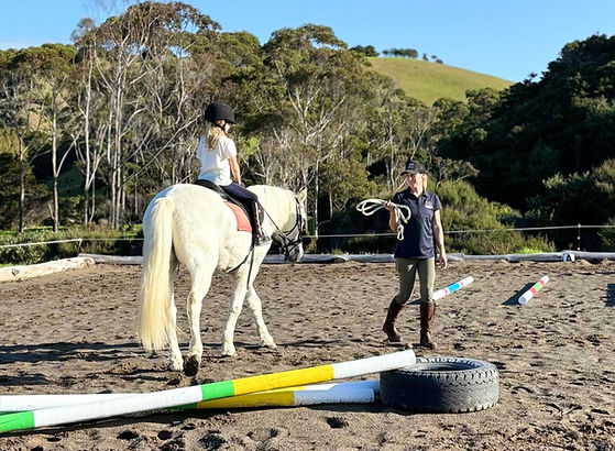 equine-learning-centre-hero3.jpg