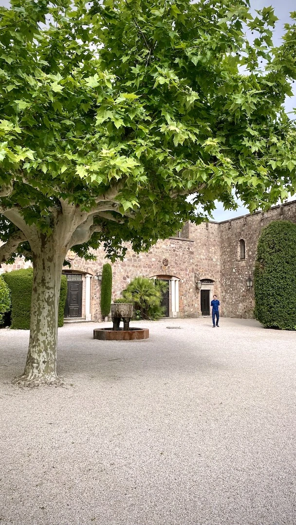 Ogrody Château de la Napoule