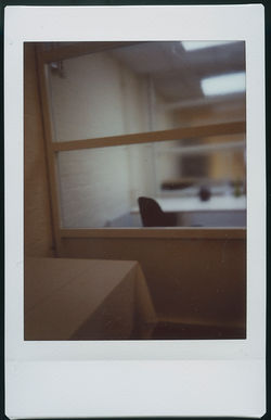 polaroid (3)