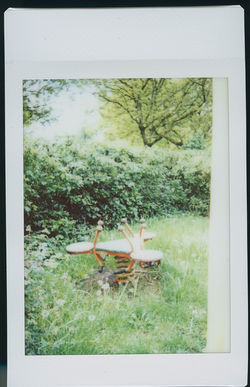 polaroid (2) (3)