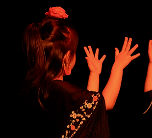 niña girada flamenco.png