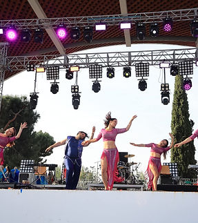 WhatsApp Image 2026-02-11 at 18.20.56 (1).jpeg