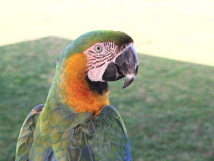 IMG_9662.jpeg