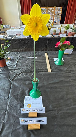 Horticulture - Best in Show Exhibit.jpg
