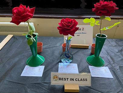 Best in class 2.jpg