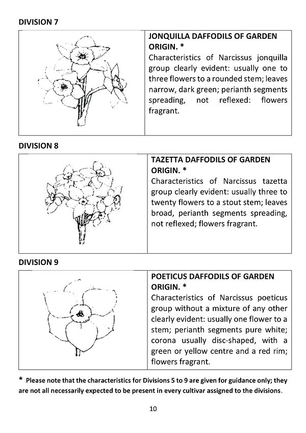 Definitions 2025-3.jpg