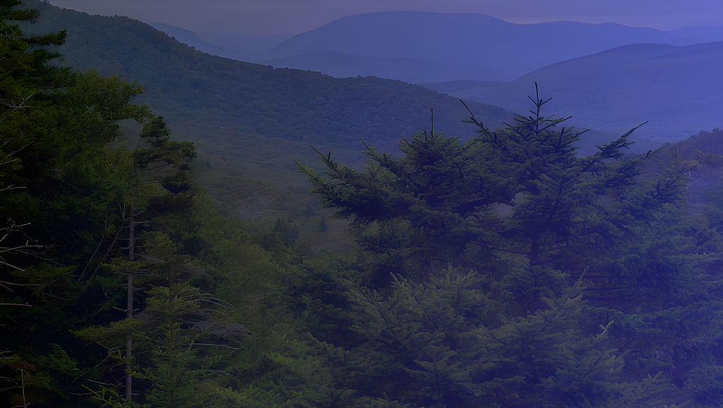 BG_cropped