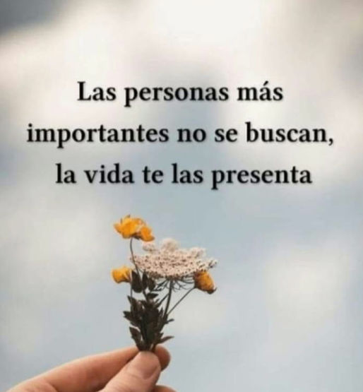 EL Emprendedor Andino