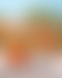 BUEN DIA, ECONOMISTA 593.