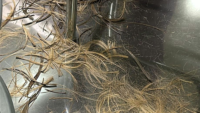 No 2 Extremes: ANDES