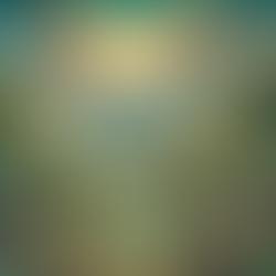 Capitalismo Andino: Repensando el Pasado del Siglo 21 hacia un Futuro Permanente, Sostenible.