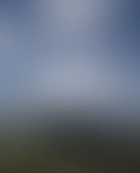 LA SANTA CRUZ NUESTRA DE TODOS LOS DIAS...