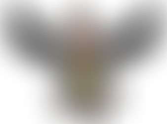 A DE AMERICA, DE DE DESARROLLO, N DE NACIONALISMO: ADN@+ COMO UN HIJO DE ARNE PARA EL SIGLO 21.