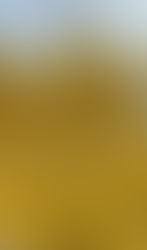 COP 30: APRECIACION DEL IMPACTO