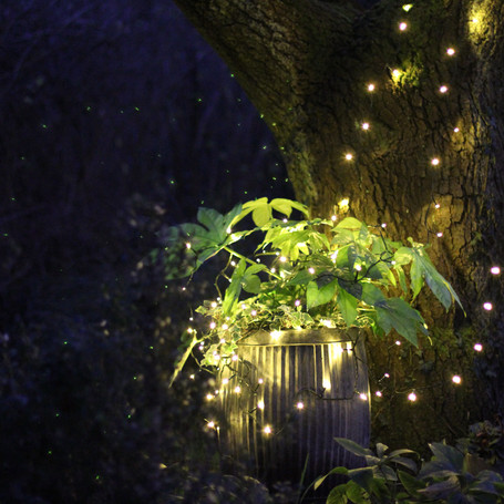 Medium fairy lights product picture